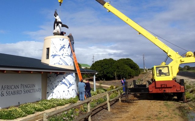 Gansbaai APSS se Groot Opgewondenheid 5